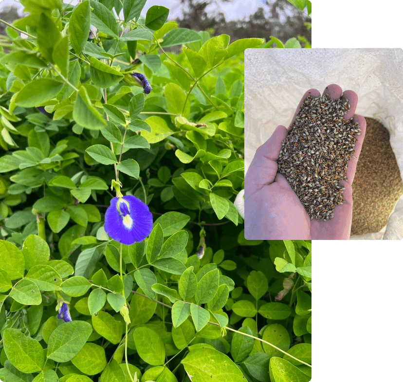 farming technology australia