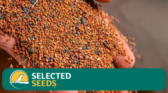 Heavy Soil Mix